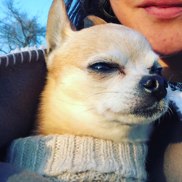 Meet your Posher - Picture 1 of 1